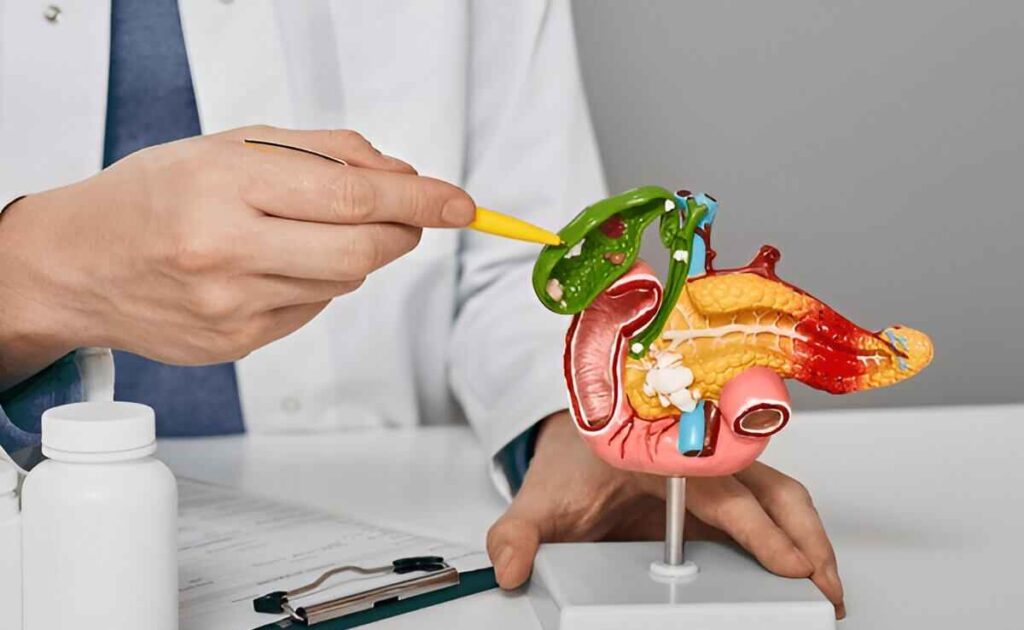 کیسه صفرا دقیق کجاست